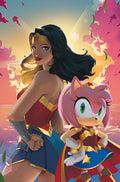 DC X SONIC THE HEDGEHOG THE METAL LEGION #2 (OF 5) CVR B R1C0 CARD STOCK VAR
