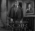 DARK SHADOWS NOIR HC CLASSIC B&W PHOTOGRAPHY