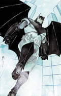 Batman #14 Cvr H Dustin Nguyen Kingdom Come 30Th Anniversary Card Stock Var (Batman Bad Seeds)