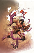 Conan The Barbarian #36 Cvr D Mark Bagley Virgin Cardstock Var (Mr)