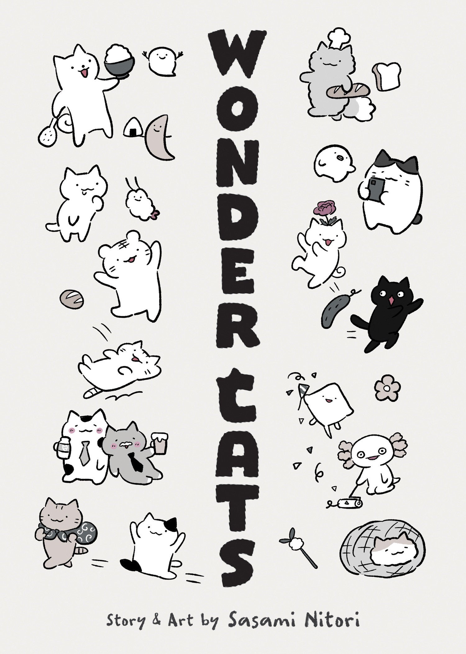 WONDER CATS