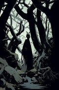 Heir #1 (Of 5) CVR F Mike Mignola Virgin Var